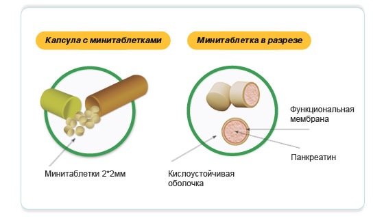 Схема капсулы красногорского